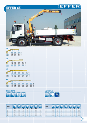 Grues de chargement hydrauliques Effer 65 2S