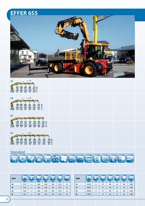 Grues de chargement hydrauliques Effer 655 3S