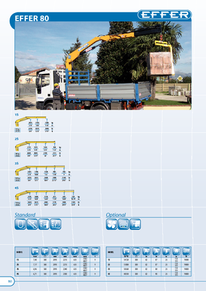 Grues de chargement hydrauliques Effer 80 1S