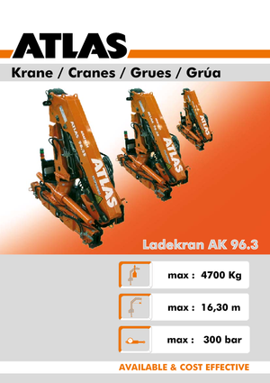 Grues de chargement hydrauliques Atlas AK 96.3 LM A4L