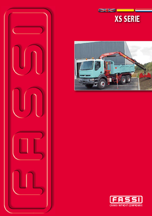 Grues de chargement hydrauliques Fassi F 110 AXS 0.21 active