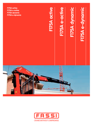 Grues de chargement hydrauliques Fassi F 175 A 2.24 dynamic