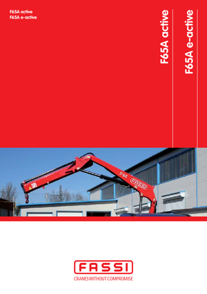 Grues de chargement hydrauliques Fassi F 65 A 0.24 active