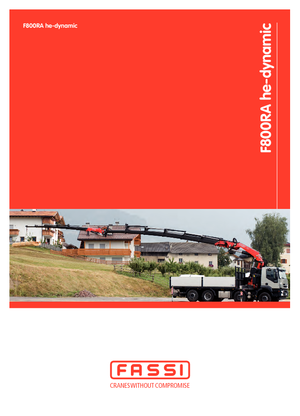 Grues de chargement hydrauliques Fassi F 800 RA 2.24 he-dynamic