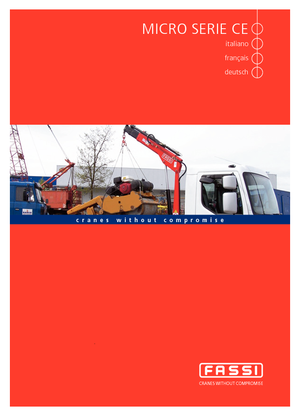 Grues de chargement hydrauliques Fassi M 30 A 13 Teleskop