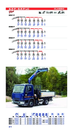 Grues de chargement hydrauliques PM PM 8.5P