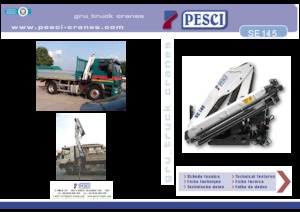 Grues de chargement hydrauliques Pesci SE 145