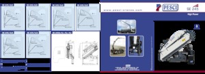 Grues de chargement hydrauliques Pesci SE 245