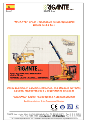 Grues mobiles industrielles Rigante GR 50