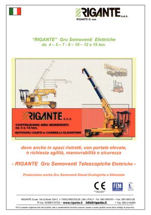 Grues mobiles industrielles Rigante GR 50