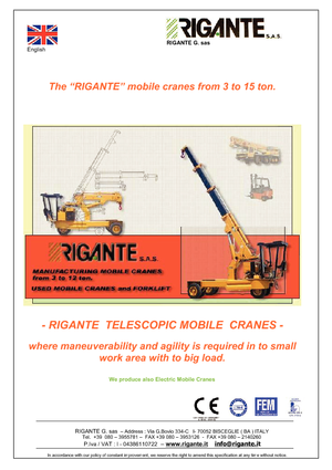 Grues mobiles industrielles Rigante GR 50