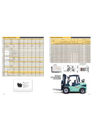 Chariots élevateurs frontaux à gaz Maximal FL 50 T-M1WE3