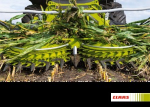 Moissonneuse-batteuses à barres de coupe maïs Claas Orbis 900