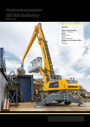 Manipulateurs de matériaux Liebherr LH 80 C Gantry Industry Litronic