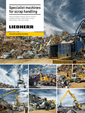 Manipulateurs de matériaux Liebherr LH 26 P Industry Litronic