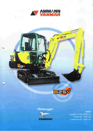 Mini Pelles Yanmar B 25 V