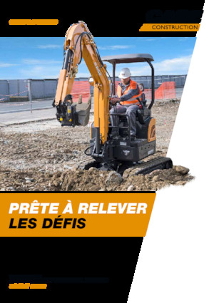 Mini Pelles Case CX19C