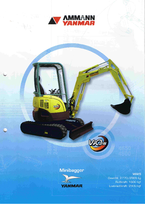 Mini Pelles Yanmar VIO 25
