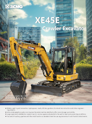 Mini Pelles XCMG XE45E