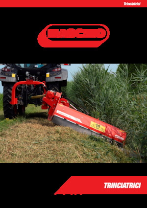 Broyeurs Maschio Gemella 465