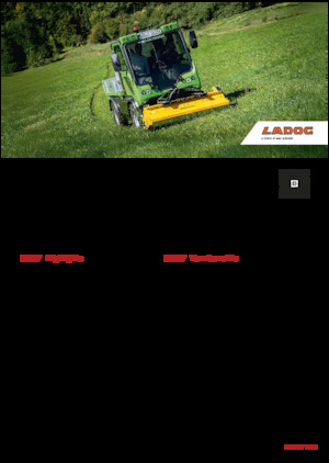 Véhicules communaux multi-usages à diesel diesel Ladog E 1400