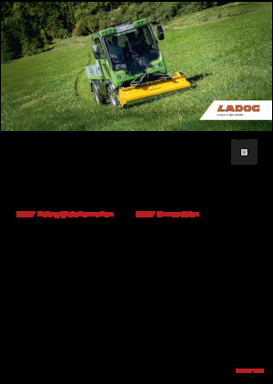 Véhicules communaux multi-usages à diesel diesel Ladog E 1400