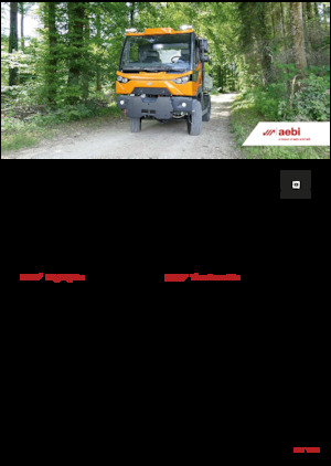 Véhicules communaux multi-usages à diesel diesel Aebi MT 770