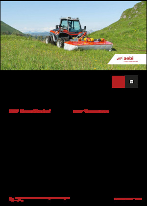 Véhicules communaux multi-usages à diesel diesel Aebi TT 211+