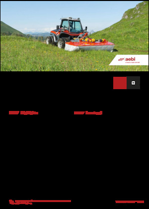 Véhicules communaux multi-usages à diesel diesel Aebi TT 211+