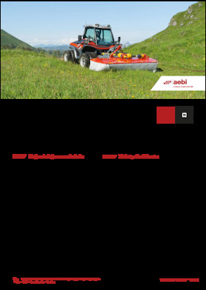 Véhicules communaux multi-usages à diesel diesel Aebi TT 211+