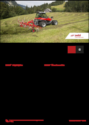 Véhicules communaux multi-usages à diesel diesel Aebi TT 241+