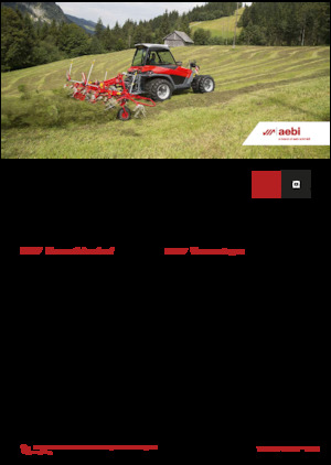 Véhicules communaux multi-usages à diesel diesel Aebi TT 281+ 