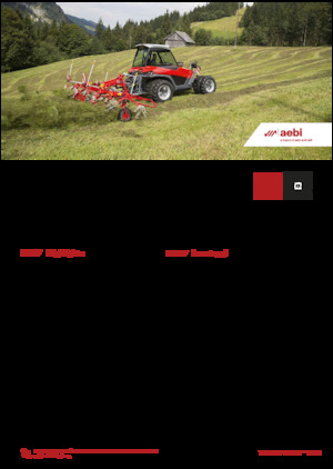 Véhicules communaux multi-usages à diesel diesel Aebi TT 281+ 