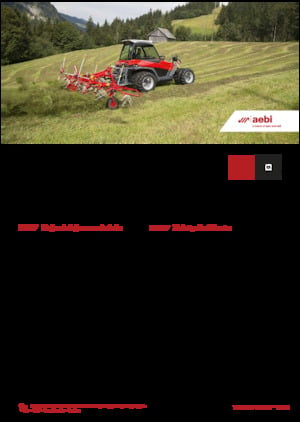 Véhicules communaux multi-usages à diesel diesel Aebi TT 281+ 