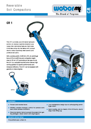 Plaques vibrantes réversibles weber mt CR 1 R