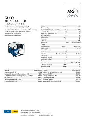 Groupes électrogènes à essence Geko ® 3002 E-AA/HHBA*