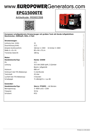 Groupes électrogènes à essence Europower EPG15000TE (S)