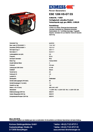 Groupes électrogènes à essence Endress ESE 1206 HS-GT ES