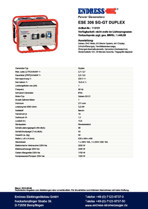 Groupes électrogènes à essence Endress ESE 306 SG-GT Duplex