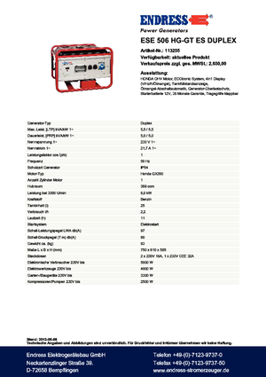 Groupes électrogènes à essence Endress ESE 506 HG-GT ES Duplex