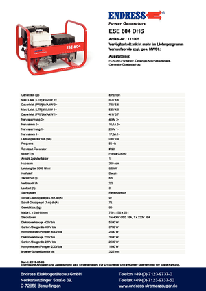 Groupes électrogènes à essence Endress ESE 604 DHS