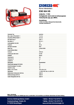 Groupes électrogènes à essence Endress ESE 604 HS