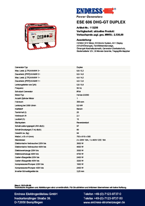 Groupes électrogènes à essence Endress ESE 606 DHG-GT Duplex