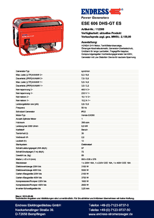 Groupes électrogènes à essence Endress ESE 606 DHS-GT ES