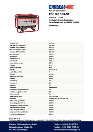 Groupes électrogènes à essence Endress ESE 606 DRS-GT