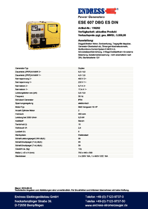 Groupes électrogènes à essence Endress ESE 607 DBG ES DIN