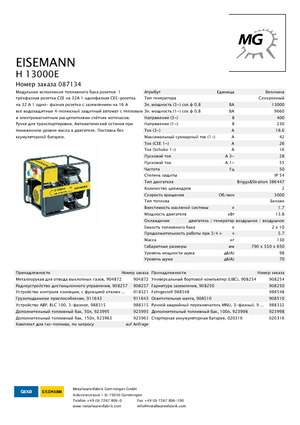 Groupes électrogènes à essence Eisemann H 13000 E