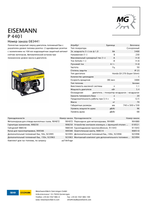 Groupes électrogènes à essence Eisemann P 4401