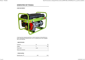 Groupes électrogènes à essence PRAMAC Lifter PX 5000m