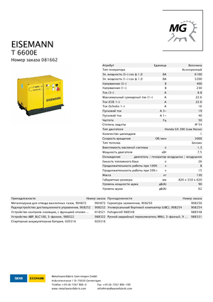 Groupes électrogènes à essence Eisemann T 6600 E